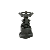 VALVULA ESCLUSA CLASE 800 SOCKET WELD